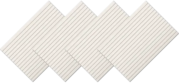 Defender - Набор салфеток сервировочных Stripes